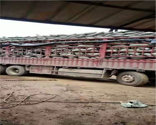 2021揭陽(yáng)粘土陶粒多少錢電話報(bào)價(jià)